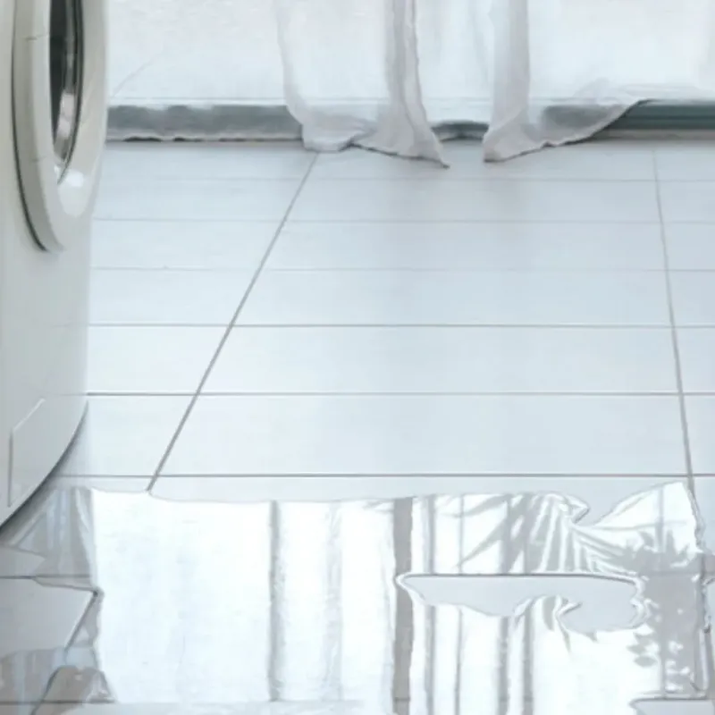 Appliance Leak Cleanup in Rock Hill, SC