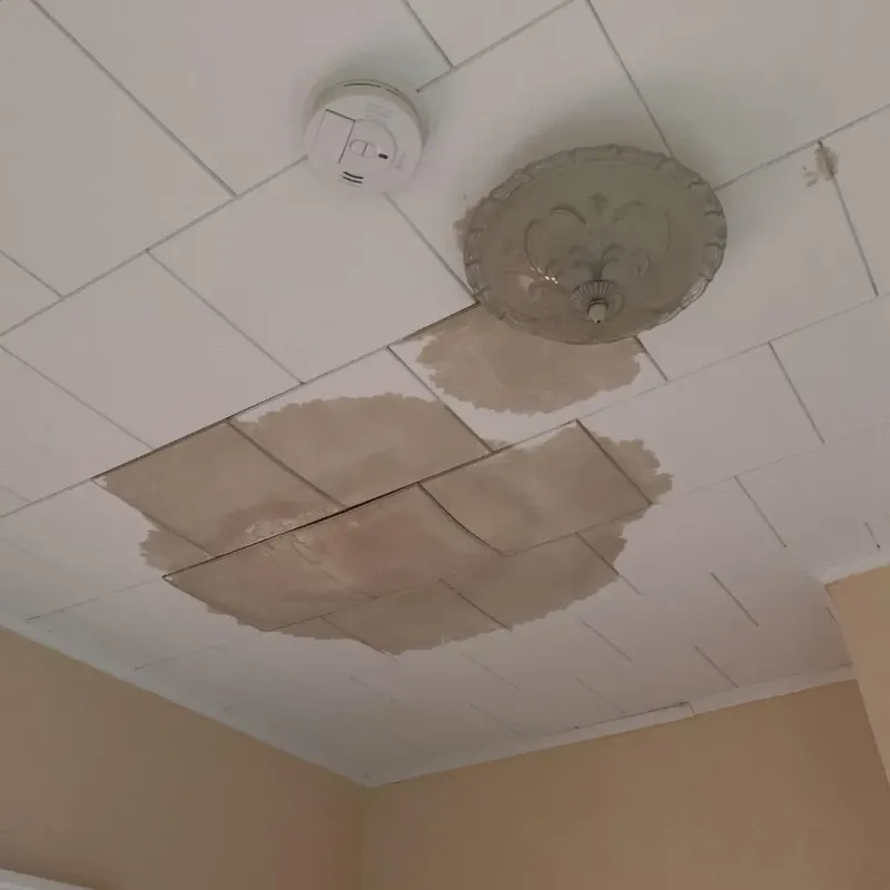 Ceiling Water Damage Repair in Rock Hill, SC