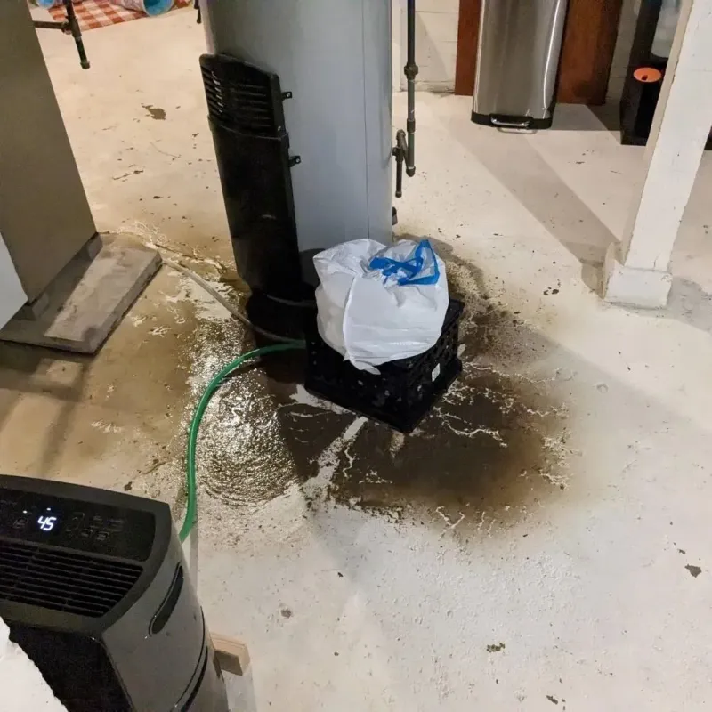 Sewage Backup Cleanup Service in Rock Hill, SC